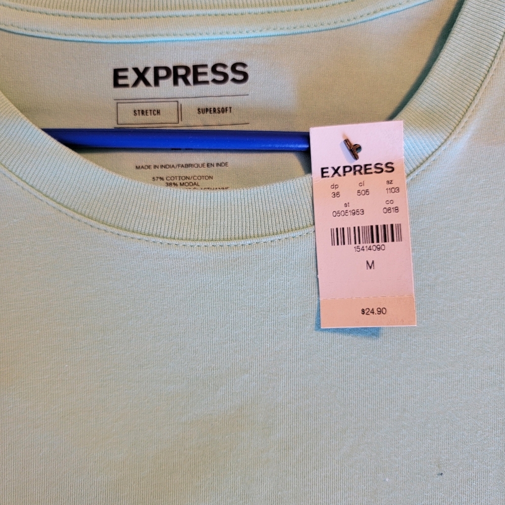 Mens mint green tshirt from express